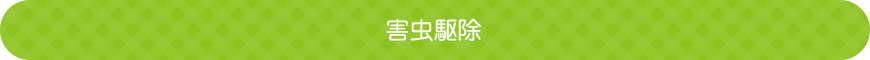 外注駆除